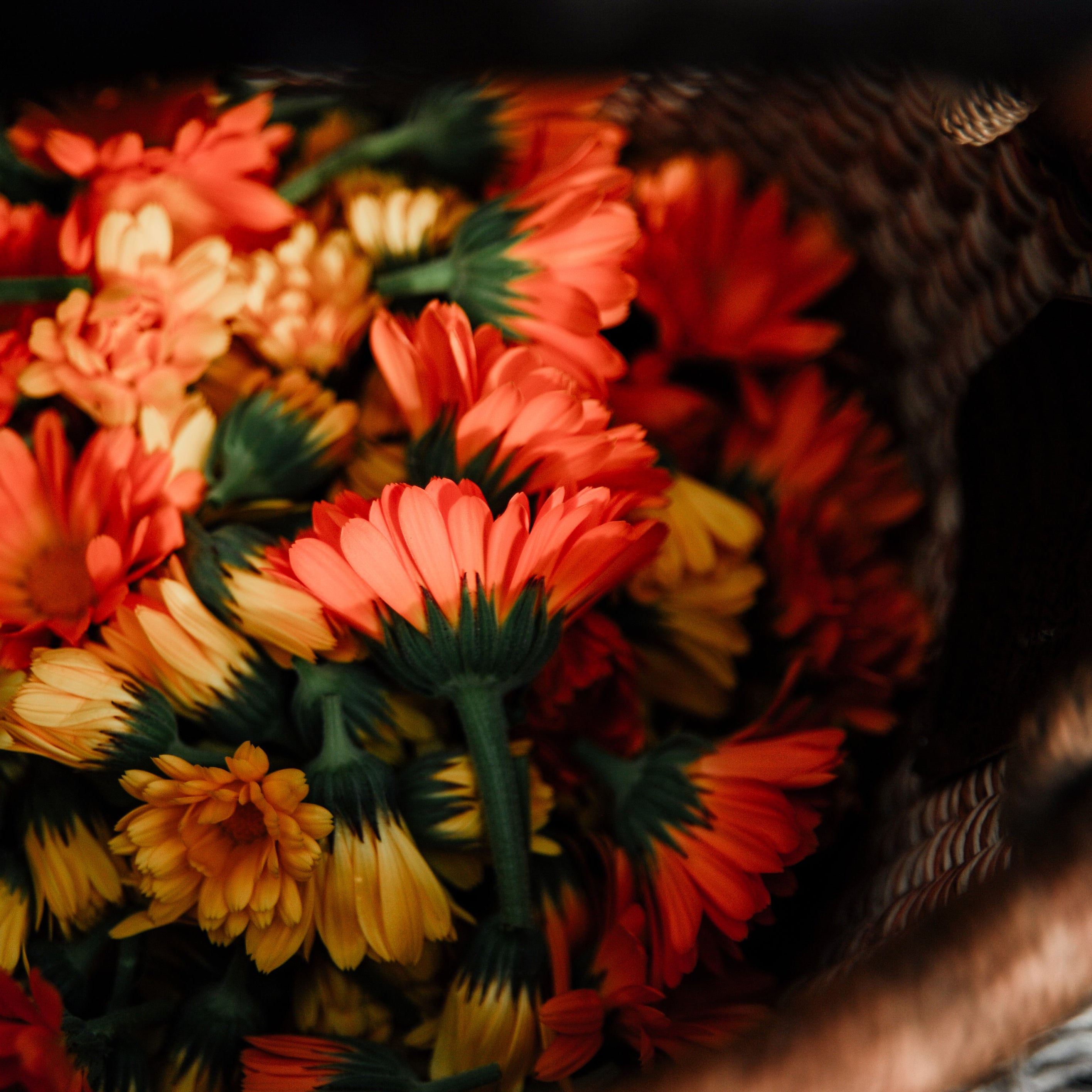 Basket filled with red, orange, and yellow flowers