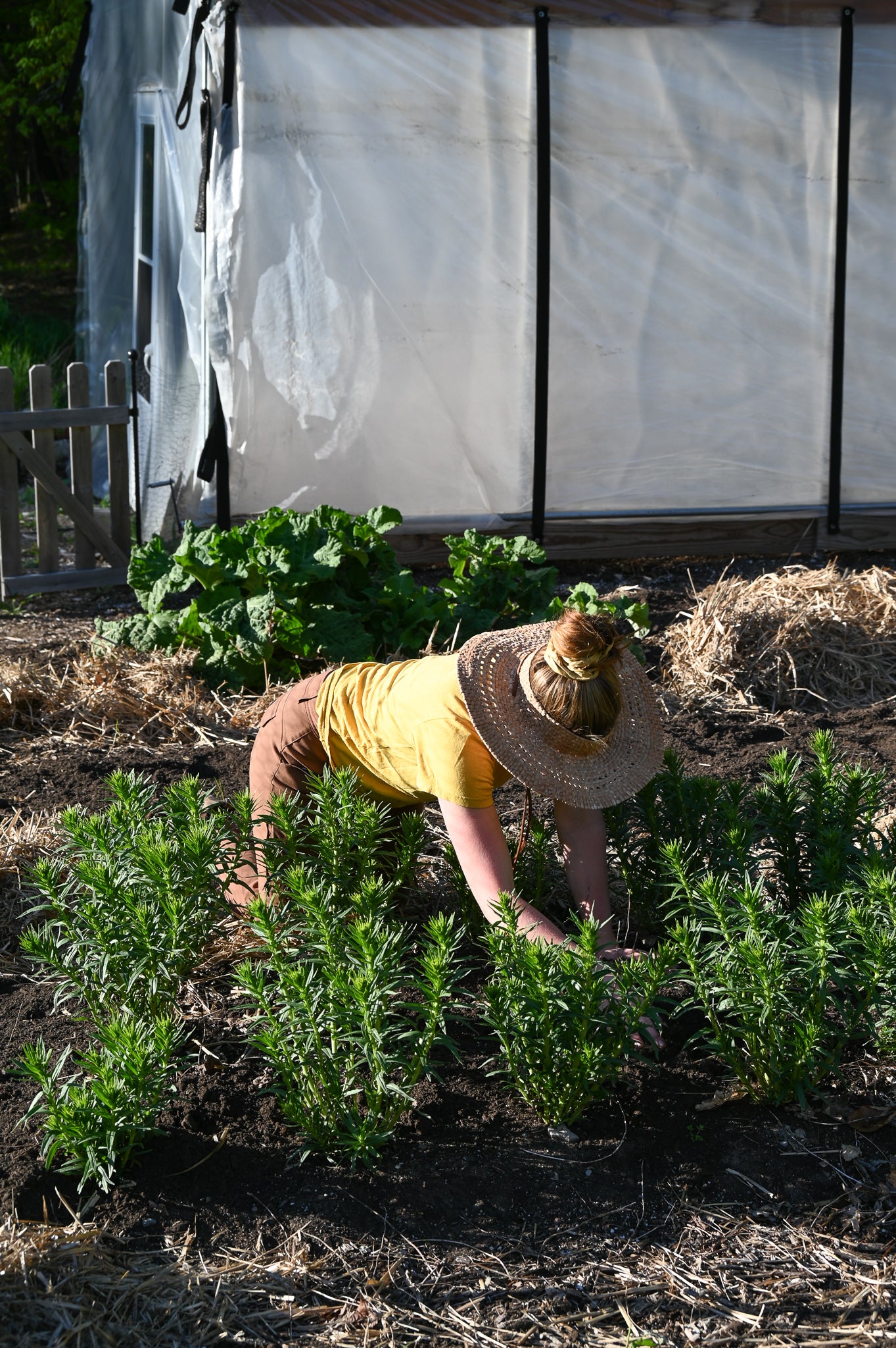 DSC_1971.jpg