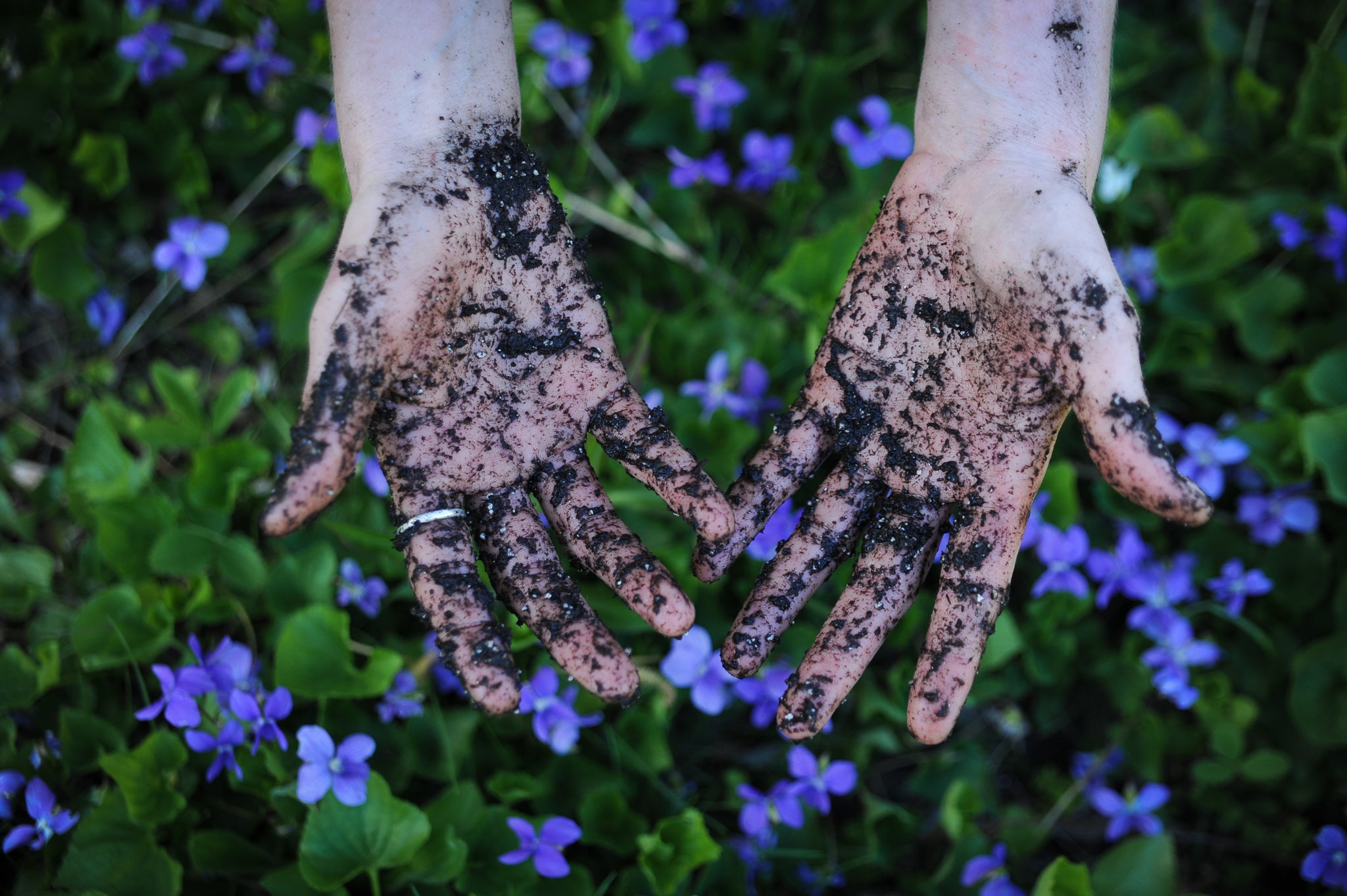 Healthy Soil